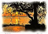 Sunset at Coco_s - NFT